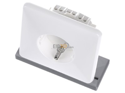 View up front Peha D 80.6511.02 V Socket outlet (receptacle) 
