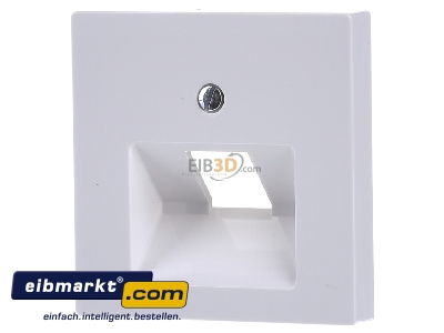 Frontansicht Merten 296219 Zentralplatte pws/gl f�r UAE-Einsatz 1f. 