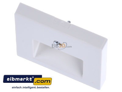 View up front Merten 296219 Central cover plate UAE/IAE (ISDN)
