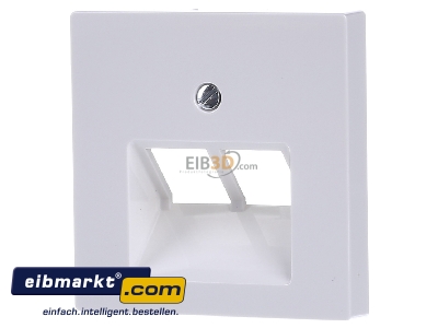 Front view Merten 296119 Central cover plate UAE/IAE (ISDN)
