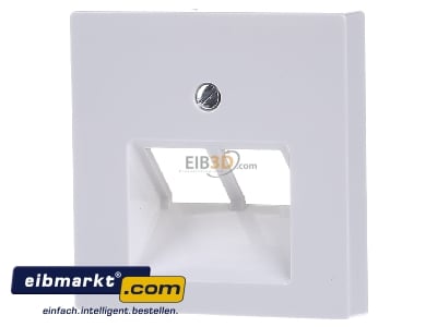 Front view Merten 296119 Central cover plate UAE/IAE (ISDN)
