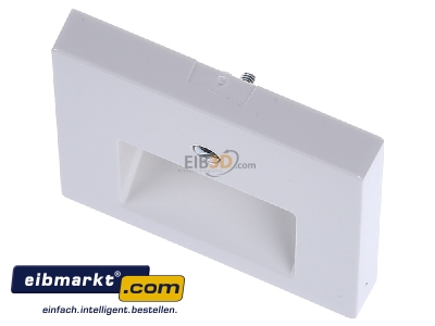 View up front Merten 296119 Central cover plate UAE/IAE (ISDN)
