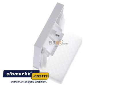 Ansicht oben rechts Merten 296125 Zentralplatte aws/gl f�r UAE-Einsatz 2f. 