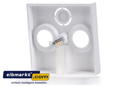 Ansicht hinten Merten 296725 Zentralplatte aws/gl f�r Antennendose 