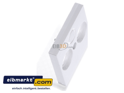 Ansicht oben links Merten 296725 Zentralplatte aws/gl f�r Antennendose 