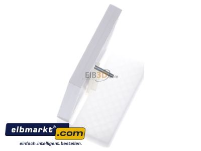 Ansicht oben rechts Merten 296725 Zentralplatte aws/gl f�r Antennendose 