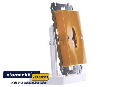 Ansicht links Merten 393803 Zentralplatte ge f�r Not-Ausschalter 