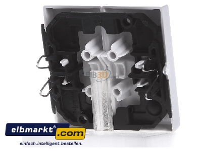 Ansicht hinten Merten 432525 Wippe aws/gl f�r Serienschalter 
