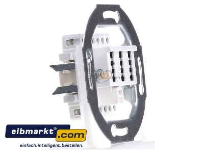 View on the left Busch-Jaeger 0242/04 Twisted pair Data outlet white 
