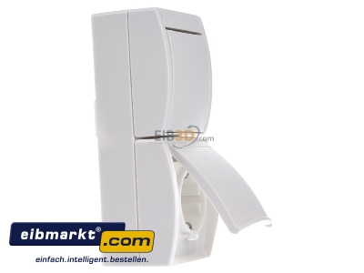 View on the left Busch-Jaeger 1684-0-0327 Combination switch/wall socket outlet
