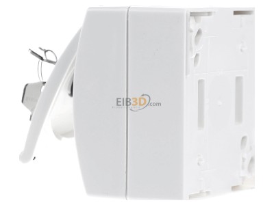 View on the right Busch Jaeger 20 EWSL-54 Socket outlet (receptacle) 
