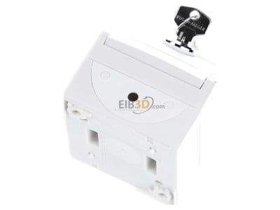 Top rear view Busch Jaeger 20 EWSL-54 Socket outlet (receptacle) 
