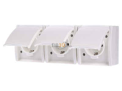 Frontansicht Busch Jaeger 2300/3 EW-54 SCHUKO-Dreifachsteckdose 