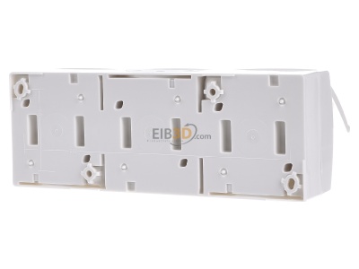 Ansicht hinten Busch Jaeger 2300/3 EW-54 SCHUKO-Dreifachsteckdose 