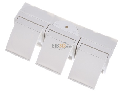 Ansicht oben vorne Busch Jaeger 2300/3 EW-54 SCHUKO-Dreifachsteckdose 