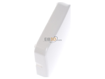 Ansicht oben links Busch Jaeger 1576 C-214 Blindzentralscheibe aws 54x54mm 