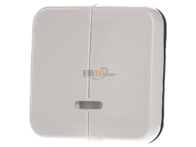 Frontansicht Busch Jaeger 6545-212 Bedienelement cws/ews fr Seriendimmer 