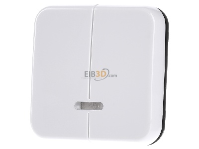 Frontansicht Busch Jaeger 6545-214 Bedienelement fr Seriendimmer 