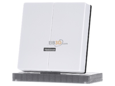 Frontansicht Busch Jaeger 6545-84 Bedienelement fr Seriendimmer 