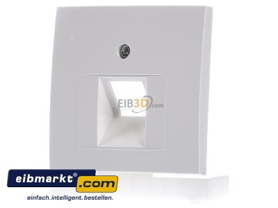 Frontansicht Berker 14078989 Zentralstck pws/gl f.UAE-Dose 
