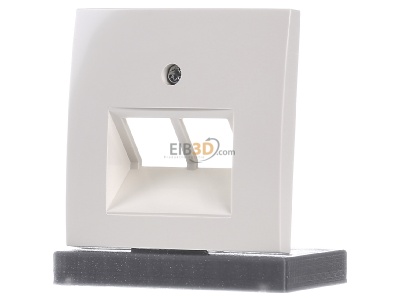 Frontansicht Berker 14098982 Zentralstck ws/gl f.UAE/E-DAT-Dose 