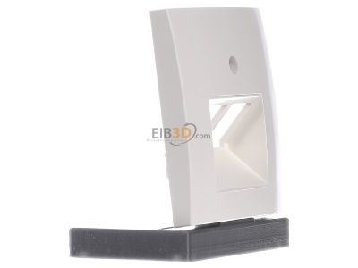 Ansicht links Berker 14098982 Zentralstck ws/gl f.UAE/E-DAT-Dose 