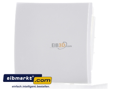 Frontansicht Berker 16208989 Wippe pws/gl 