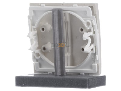 Ansicht hinten Berker 16238982 Wippe ws/gl 2-fach 