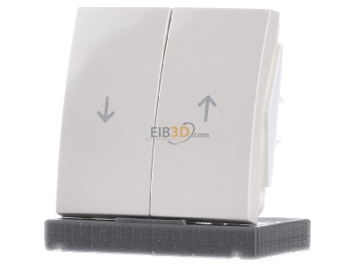 Frontansicht Berker 16258982 Wippe ws/gl Symbol Pfeil 