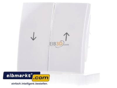 Frontansicht Berker 16258989 Wippe pws/gl Symbol Pfeil 