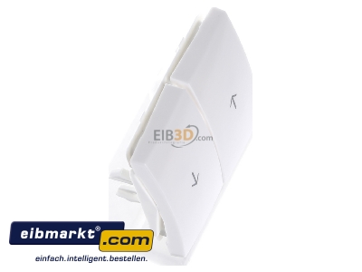 Ansicht oben links Berker 16258989 Wippe pws/gl Symbol Pfeil 