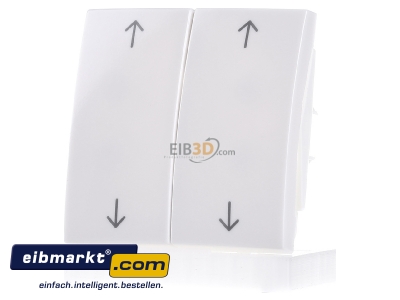 Frontansicht Berker 16448989 Wippe pws/gl Symbol Pfeil 
