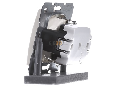 View on the right Berker 47438982 Socket outlet (receptacle) 
