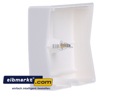 View on the right Berker 10050069 Central cover plate cable exit
