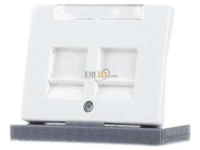 Frontansicht Berker 11820069 Zentralstck pws ARSYS 