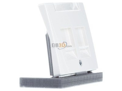 Ansicht links Berker 11820069 Zentralstck pws ARSYS 