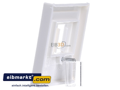Ansicht rechts Jung A 569 BFPLT WW Abdeckung aws f�r TAE-Dose 