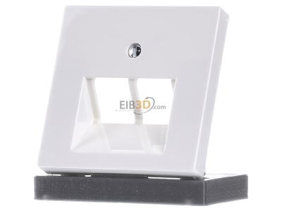Frontansicht Jung A 569-2 BFPLUAWW Abdeckung aws f�r IAE/UAE-Dose 
