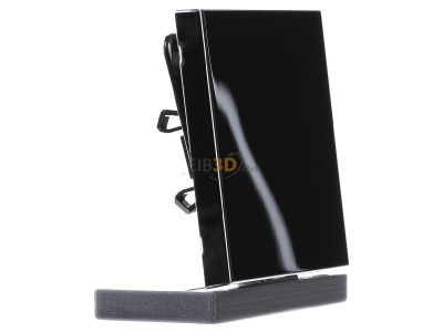 Ansicht links Jung GCR 2990 Wippe gl.chr f�r Taster 