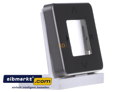 Ansicht links Busch-Jaeger 6435-20 Zentralscheibe platin f.Timer-Bedienelem. 