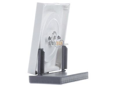 View on the right Gira 0669112 Cover plate for level switch white 
