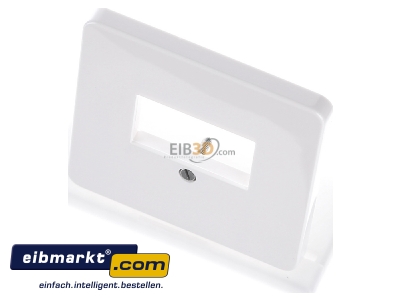 View up front Siemens Indus.Sector 5TG1800-2 Central cover plate TAE 
