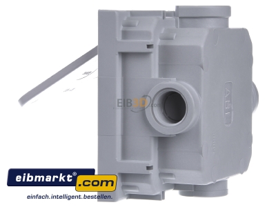 View on the right Gira 011800 Flush mounted mounted box
