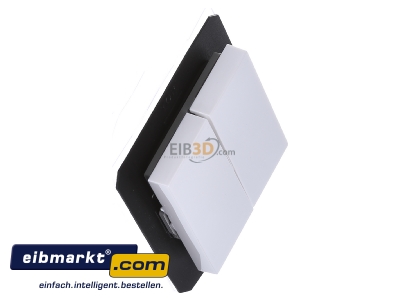 Ansicht oben links Gira 026603 Wippe Serienschalter IP44 System 55 reinwei� g 