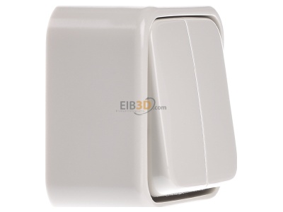 View on the left Busch Jaeger 2601/5 AP Series switch surface mounted 
