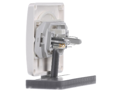 View on the right Siemens 5TG7816 Cover plate for switch/push button white 
