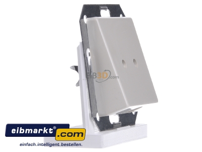 View on the left Siemens Indus.Sector 5TG2596 Cover plate for switch cream white
