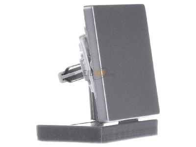 View on the left Siemens 5TG6241 Cover plate for switch/push button 
