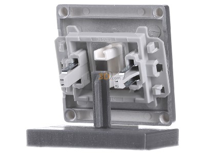 Back view Siemens 5TG6241 Cover plate for switch/push button 

