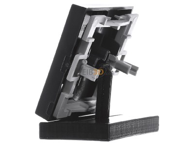 View on the right Gira 029628 Cover plate for switch/push button 29628
